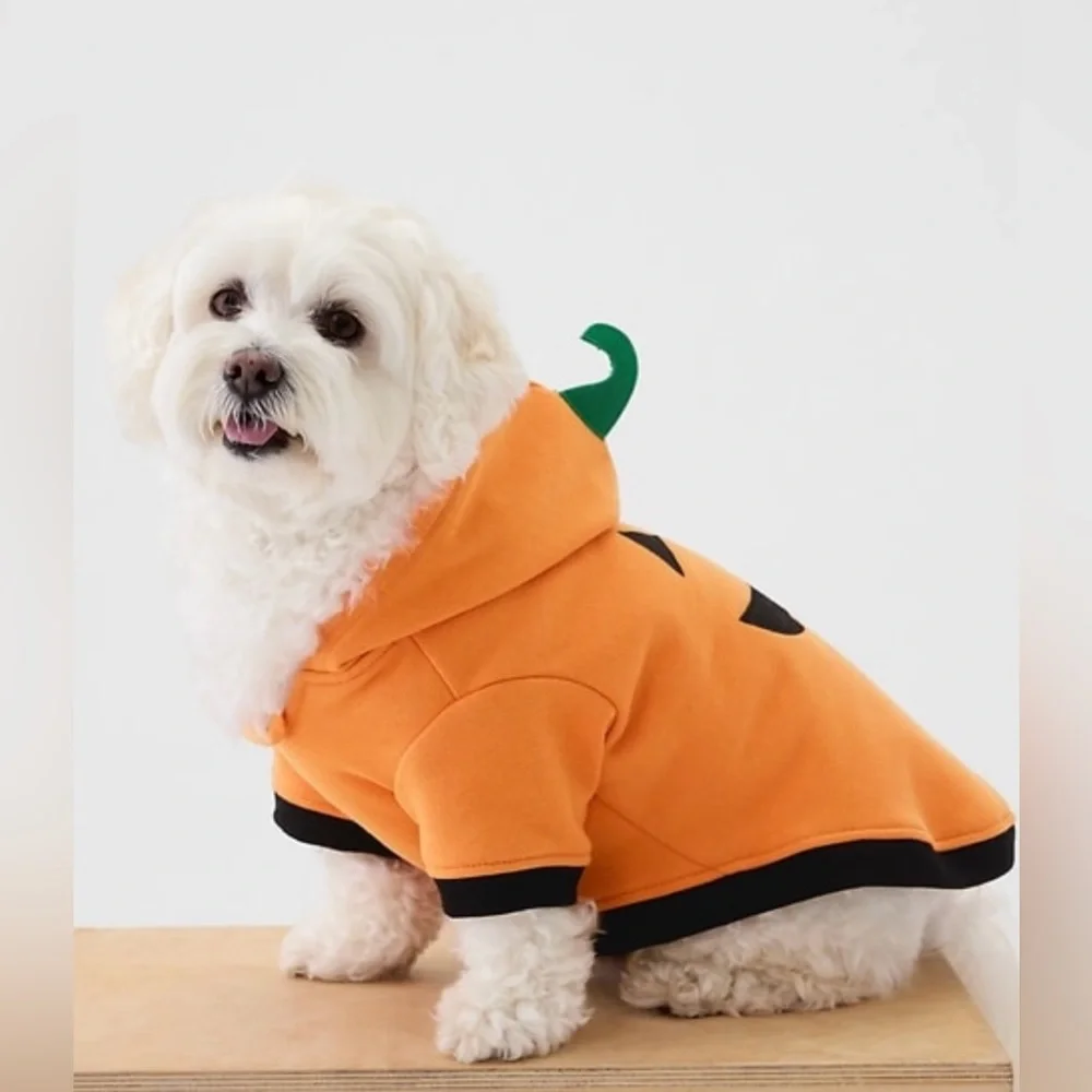 Gap Pet Dog Halloween Costume Pumpkin